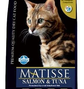מאטיס סלמון וטונה 20 ק"ג-Matisse Salmon
