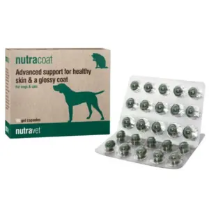 Nutravet נוטרה קאוט תוסף טבעי לבריאות ושיפור עור והפרווה לכלבים וחתולים -90 קפסולות