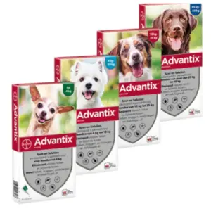אדוונטיקס Advantix אמפולה לטיפול נגד פרעושים וקרציות לכלבים