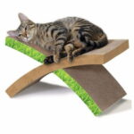 מגרדת Easy Life של Petstages