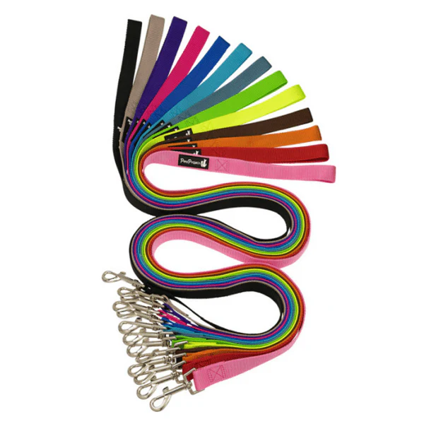 רצועה בסיסית לכלבים פטס פרוג'קט M
