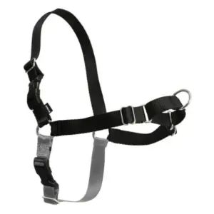 רתמה פטסייף איזי ווק המקורי נגד משיכות Easy Walk שחור