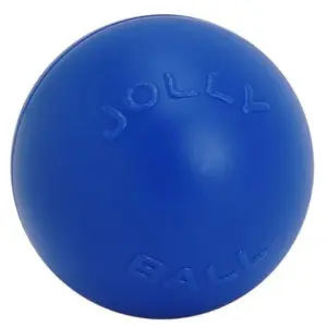 ג'ולי פטס Push n Play - כדור דחיפה ענק