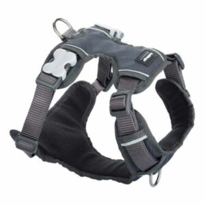רתמה רד דינגו RedDingo מלאה מרופדת - אפור
